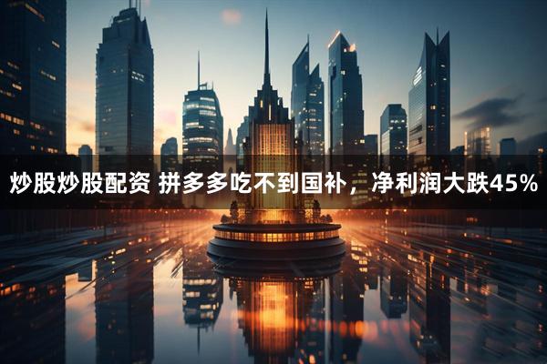 炒股炒股配资 拼多多吃不到国补，净利润大跌45%