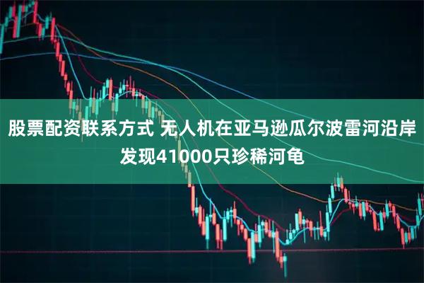 股票配资联系方式 无人机在亚马逊瓜尔波雷河沿岸发现41000只珍稀河龟