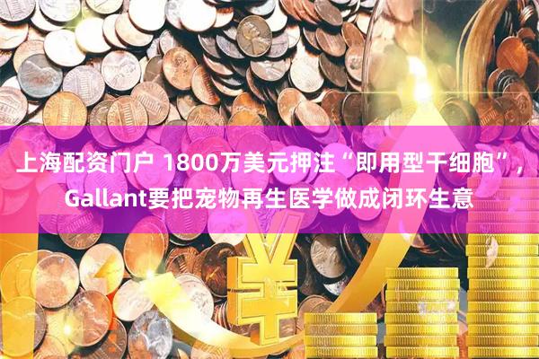 上海配资门户 1800万美元押注“即用型干细胞”，Gallant要把宠物再生医学做成闭环生意