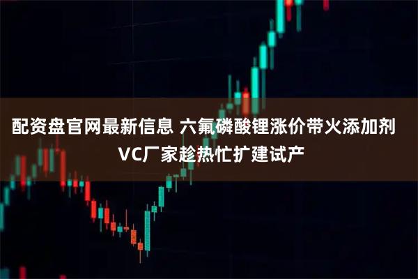 配资盘官网最新信息 六氟磷酸锂涨价带火添加剂 VC厂家趁热忙扩建试产